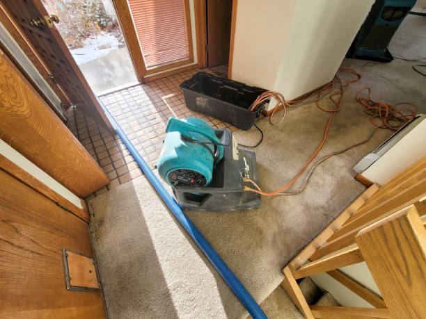 Carpet water damage restoration in Vail, CO