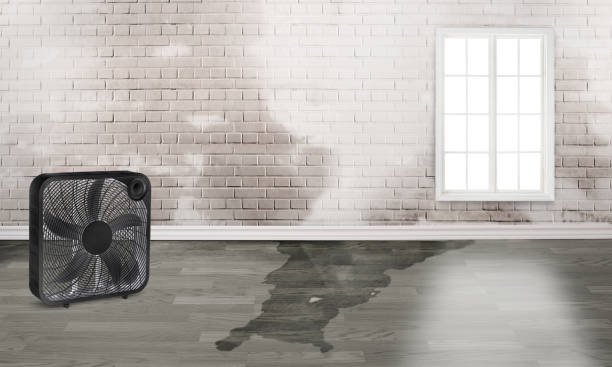 Reliable Vail, CO Water damage restoration Solutions