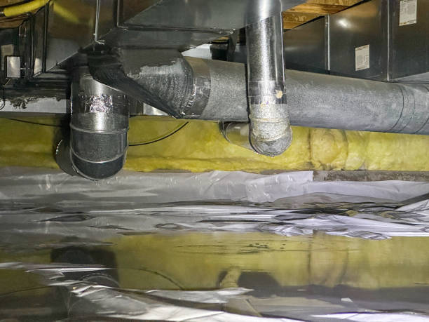 Best Sewage cleanup and water damage restoration  in Vail, CO