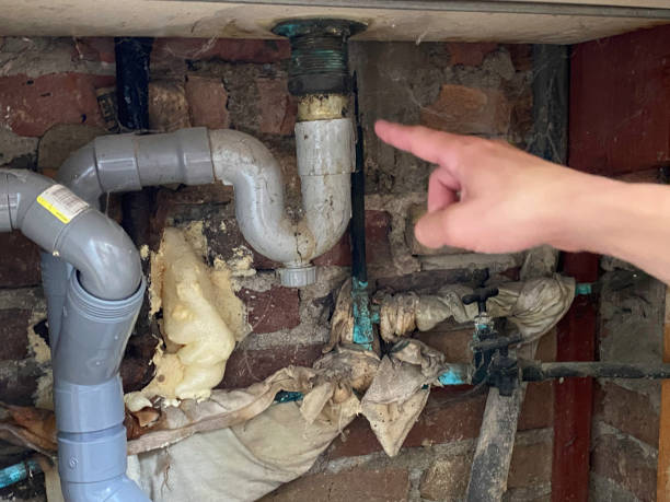 Best Emergency water damage restoration  in Vail, CO