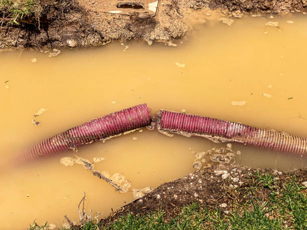 Best Flood damage cleanup  in Vail, CO